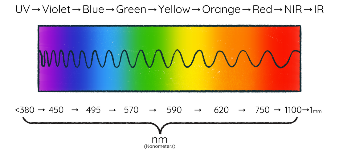 Which wavelengths are best for red light therapy?