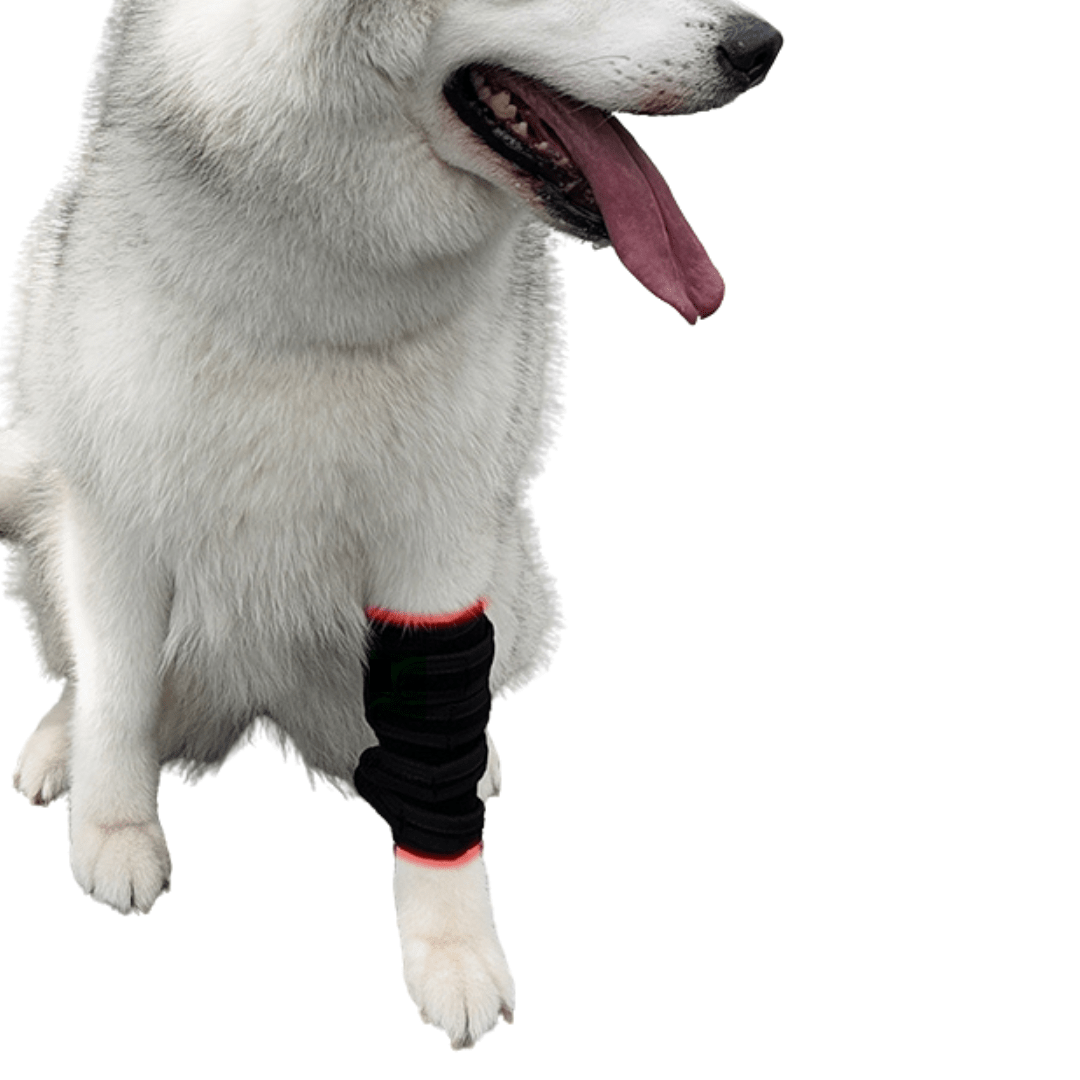 HeroPaws™ Red Light Therapy Leg Wrap for Pets - Red Light Hero best value red light therapy products