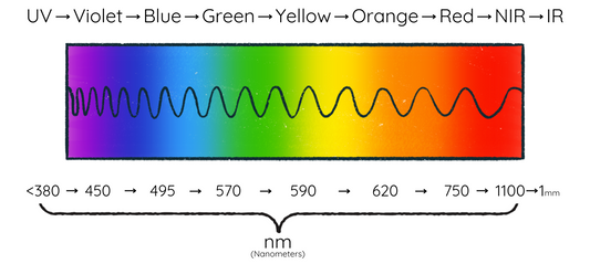Which wavelengths are best for red light therapy?