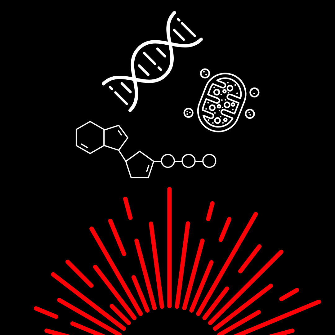 How does red light therapy work? - Red Light Hero