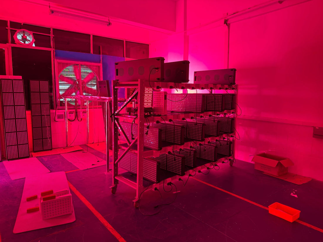 Recent Supplier Visits - Red Light Hero