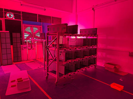 Recent Supplier Visits - Red Light Hero