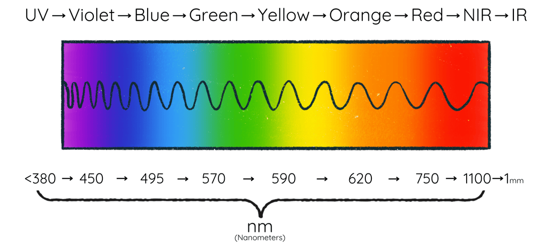 Which wavelengths are best for red light therapy? - Red Light Hero