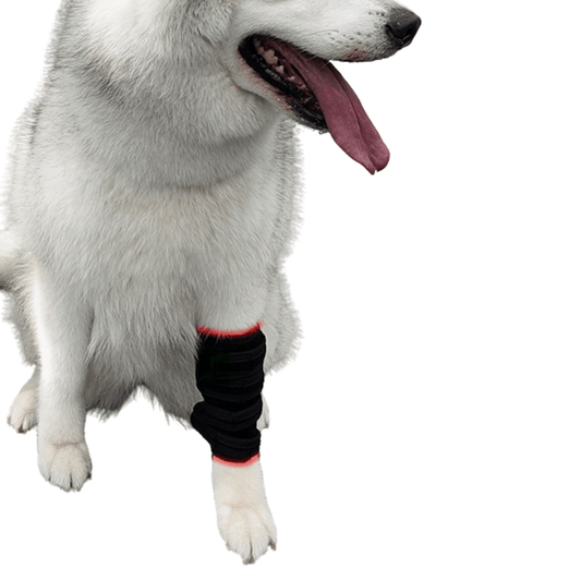 HeroPaws™ Red Light Therapy Leg Wrap for Pets - Red Light Hero best value red light therapy products