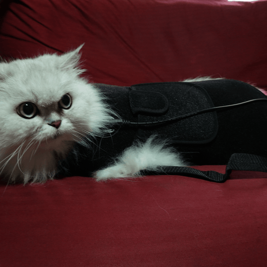 HeroPet™ Red Light Therapy Back & Belly Wrap for Pets - Red Light Hero best value red light therapy products